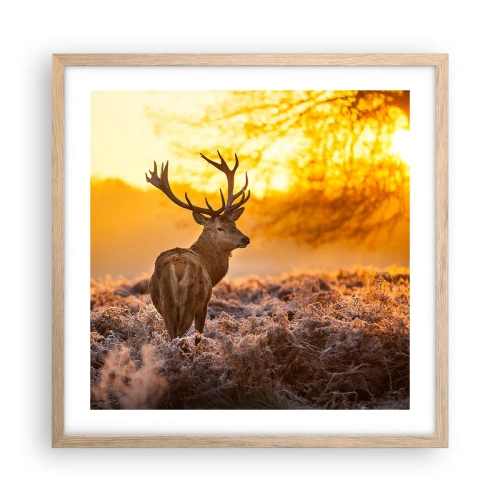 Poster in light oak frame - King of Autumnal Forest - 50x50 cm