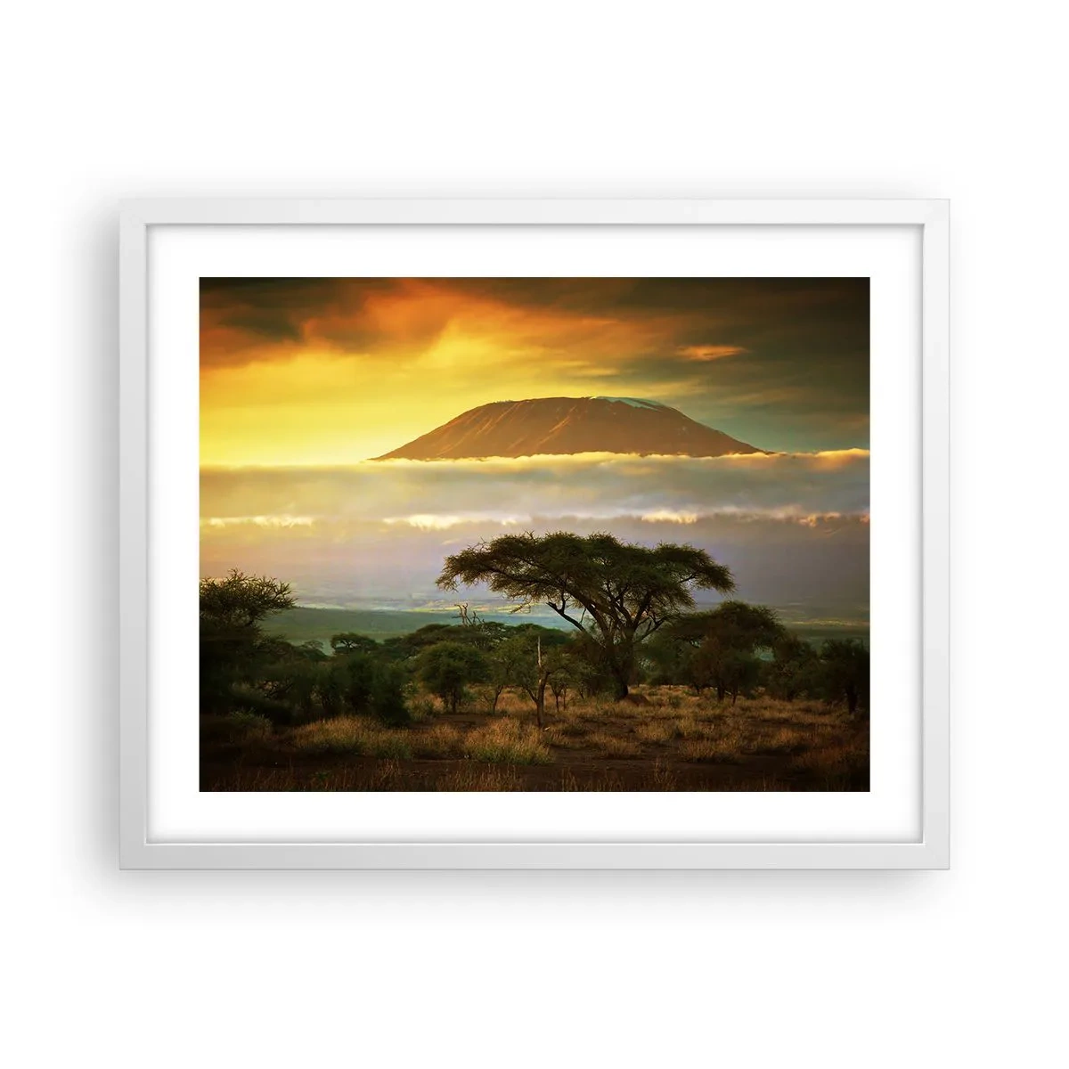 Poster in white frmae - Traveller's Dream - 50x40 cm