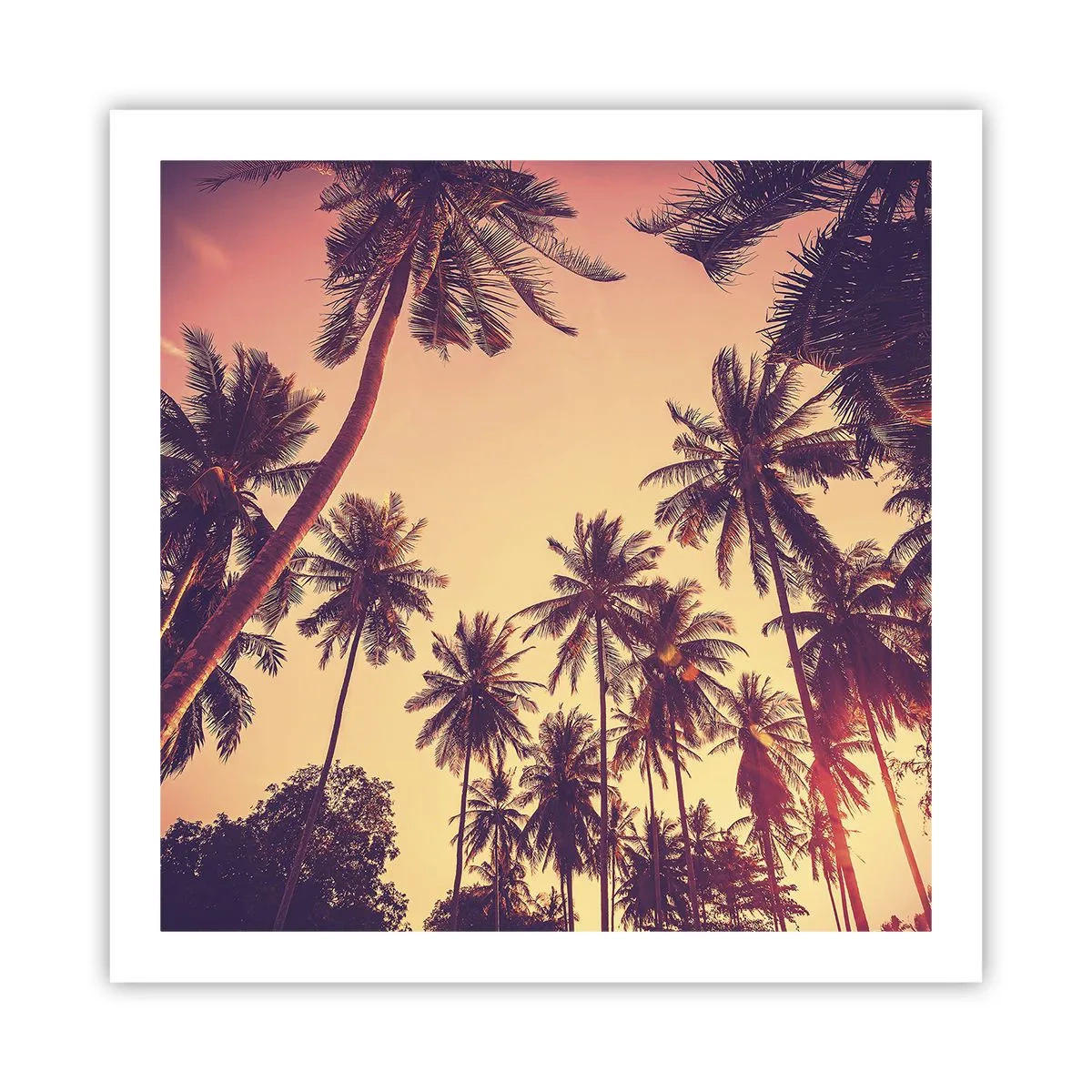 Poster - Tropical Variation - 60x60 cm
