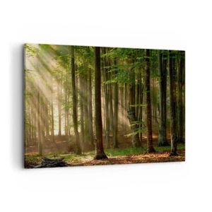 Canvas picture - Beaming in Spring Morning - 120x80 cm