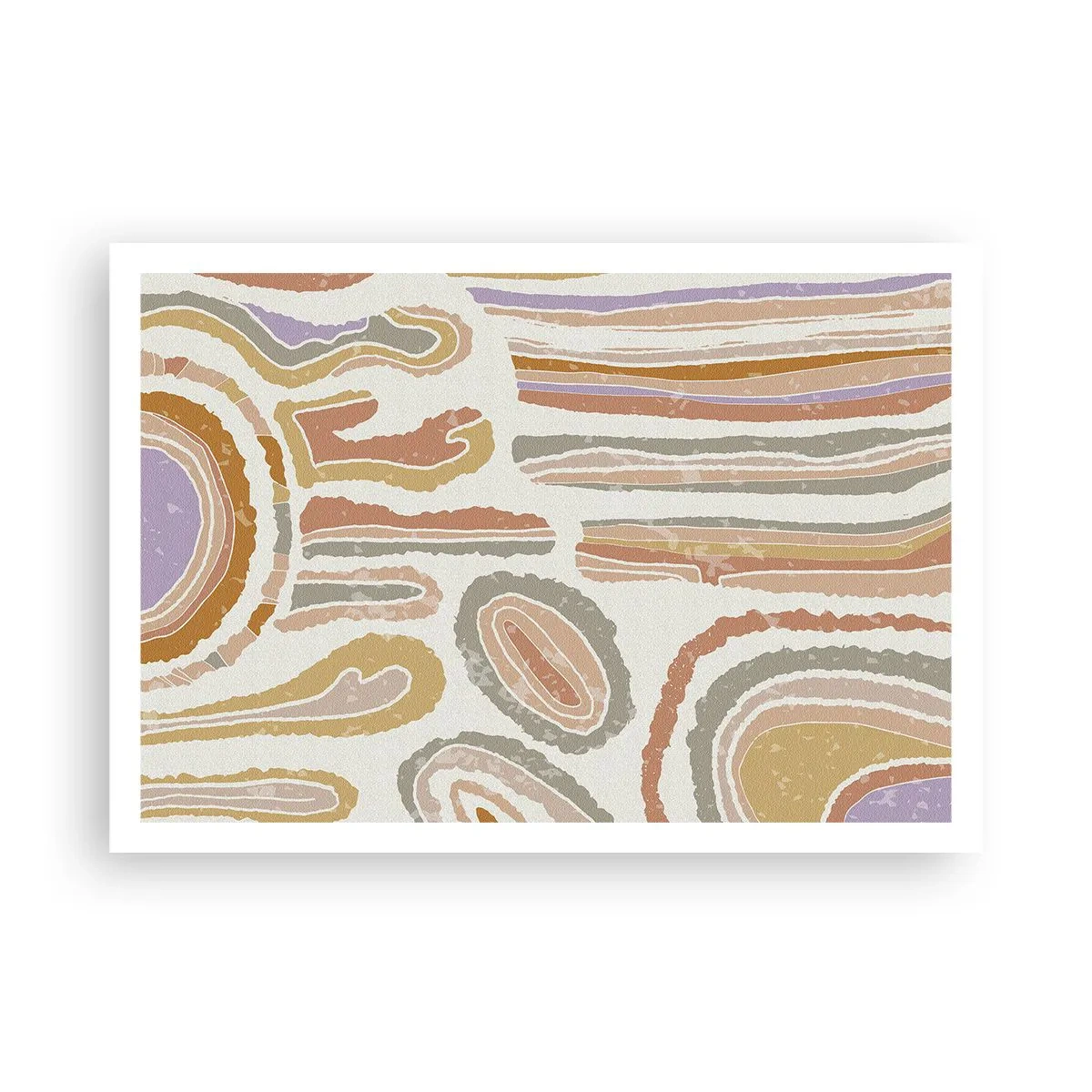 Poster - Colourful Cross-Sections - 100x70 cm