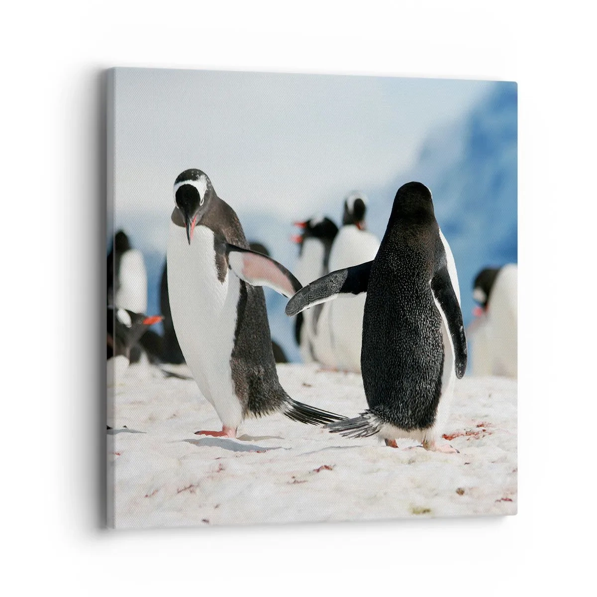 Canvas picture - Dance in the Snow - 40x40 cm
