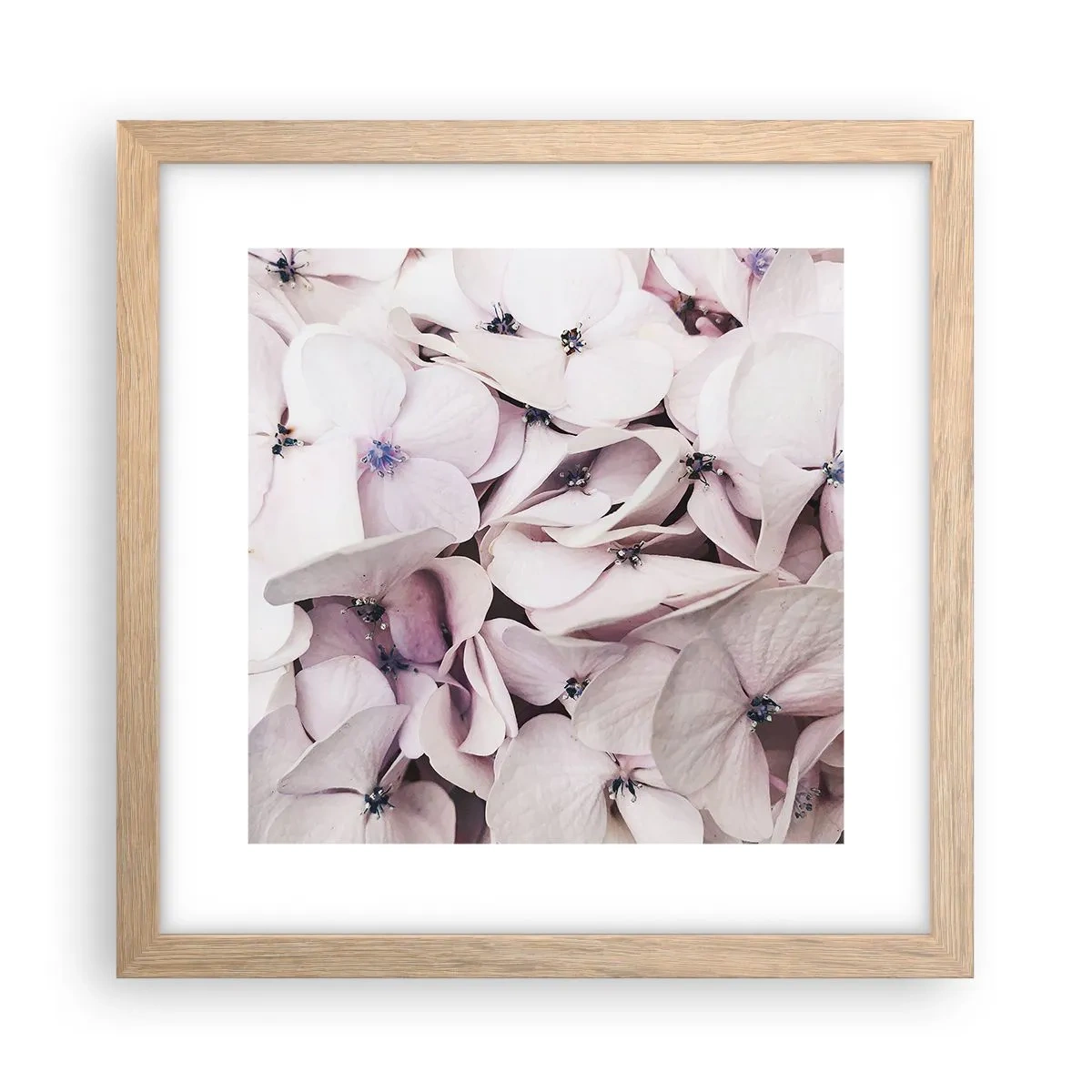 Poster in light oak frame - In the Flood of Flowers - 30x30 cm