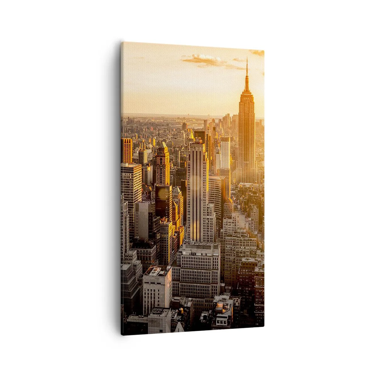 Canvas picture - Growing in the Sun - 55x100 cm