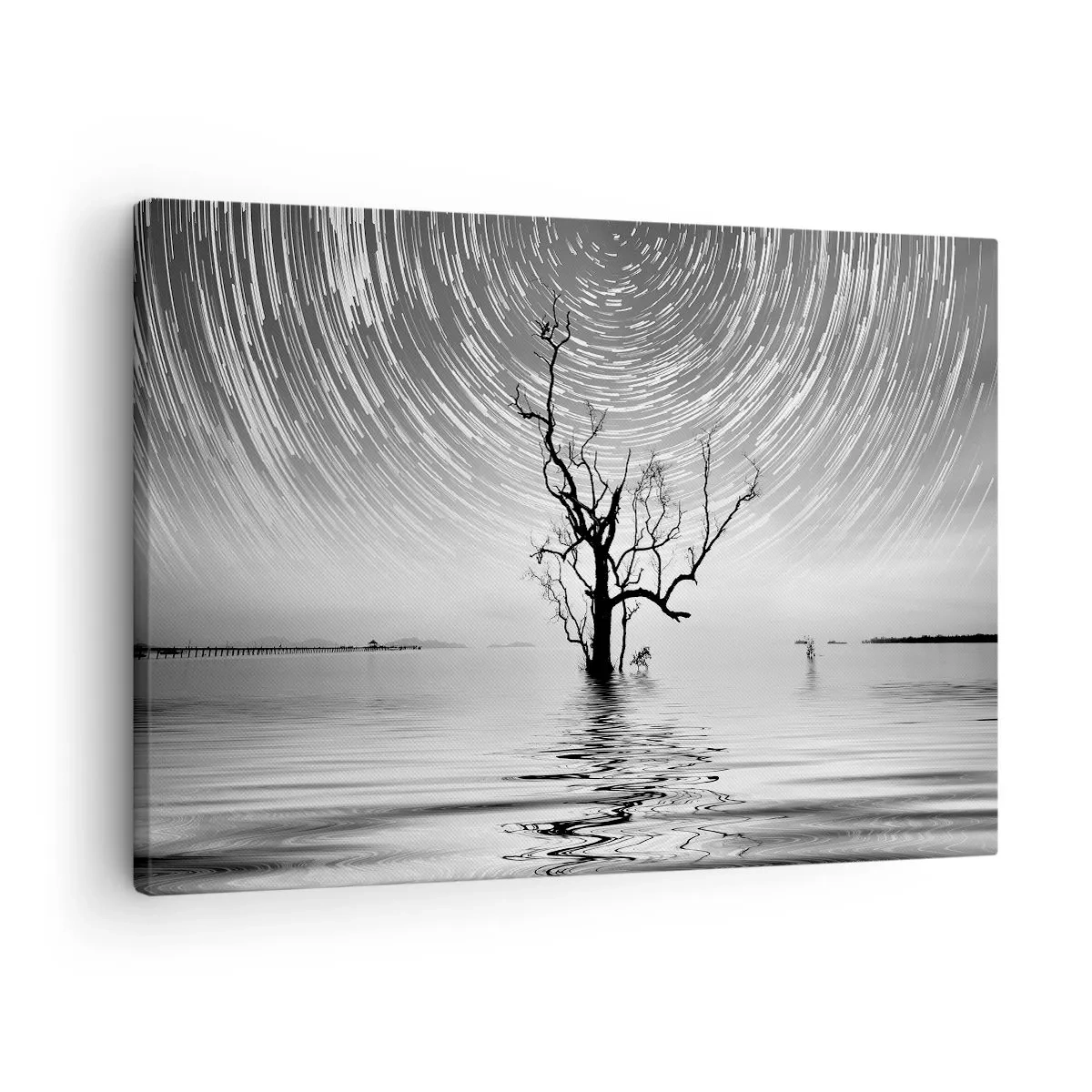 Canvas picture - A tree in the water under a night sky with moving stars - 70x50cm - Symphony of Nature - Modern wall decoration for the living room and bedroom ARTTOR
