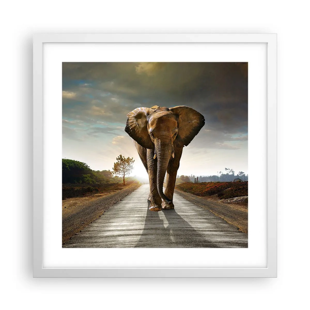 Poster in white frmae - Not in a China Shop - 40x40 cm