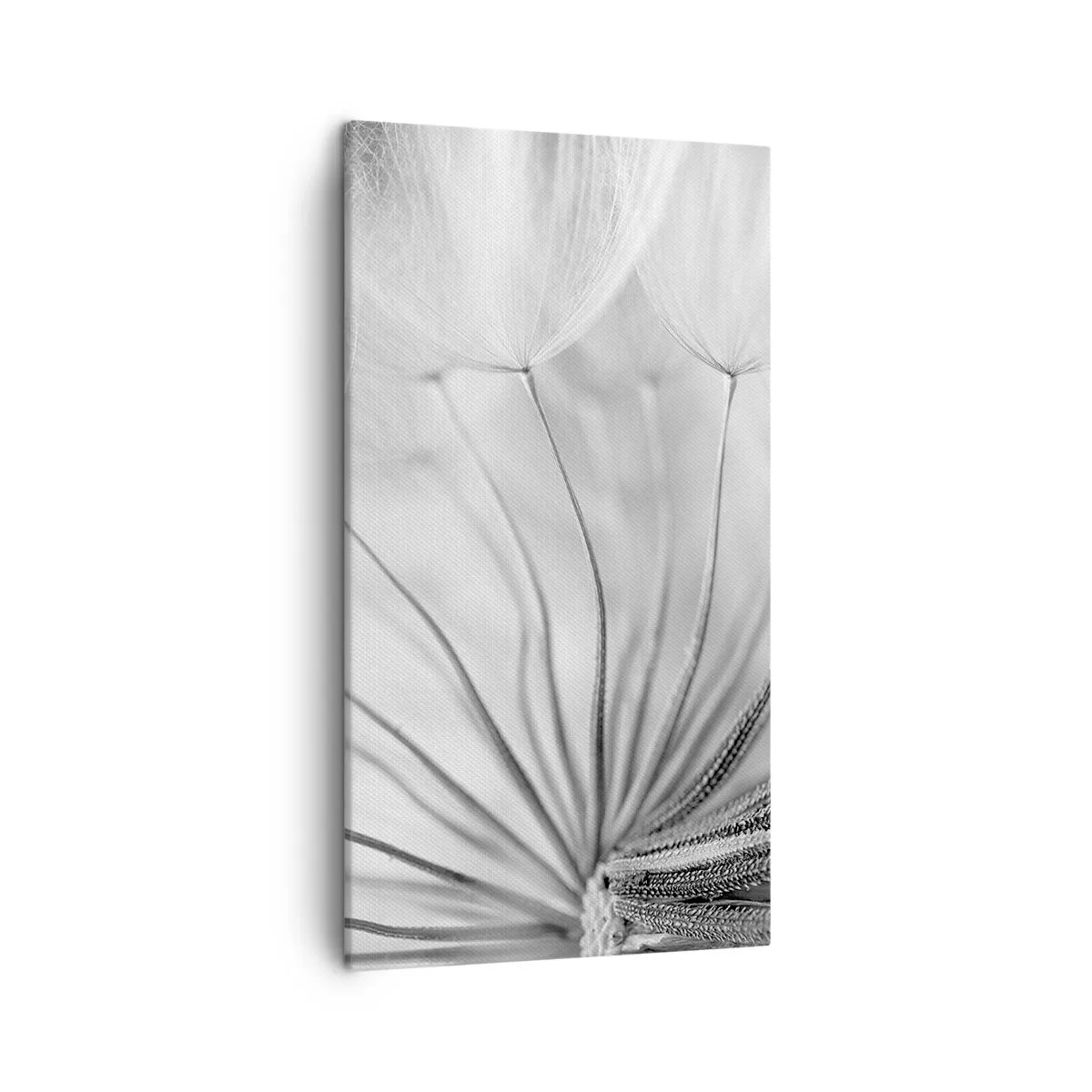 Canvas picture - Dandelion Kites - 45x80 cm