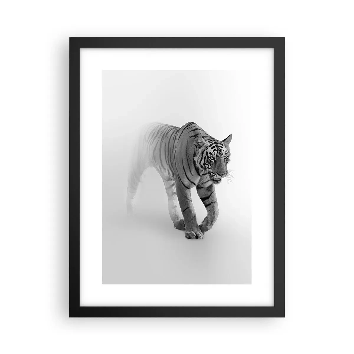 Poster in black frame - Crouching in Fog - 30x40 cm