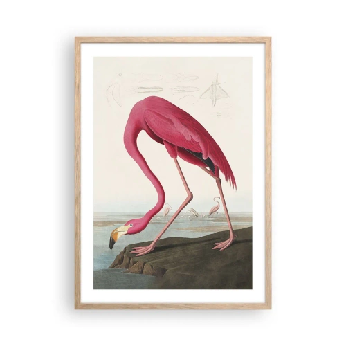 Poster in light oak frame - Curious Creature - 50x70 cm