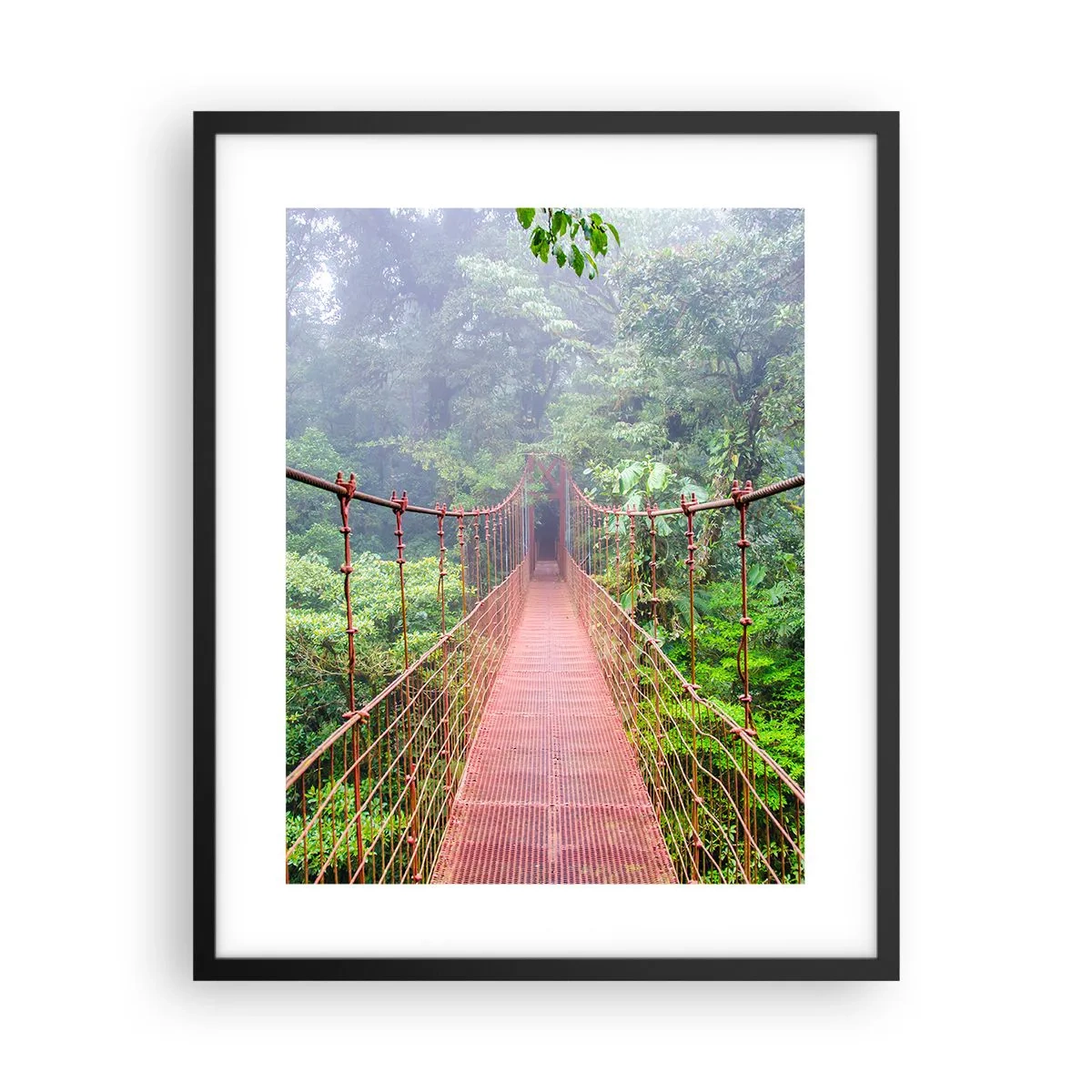 Poster in black frame - Suspended above Crowns - 40x50 cm