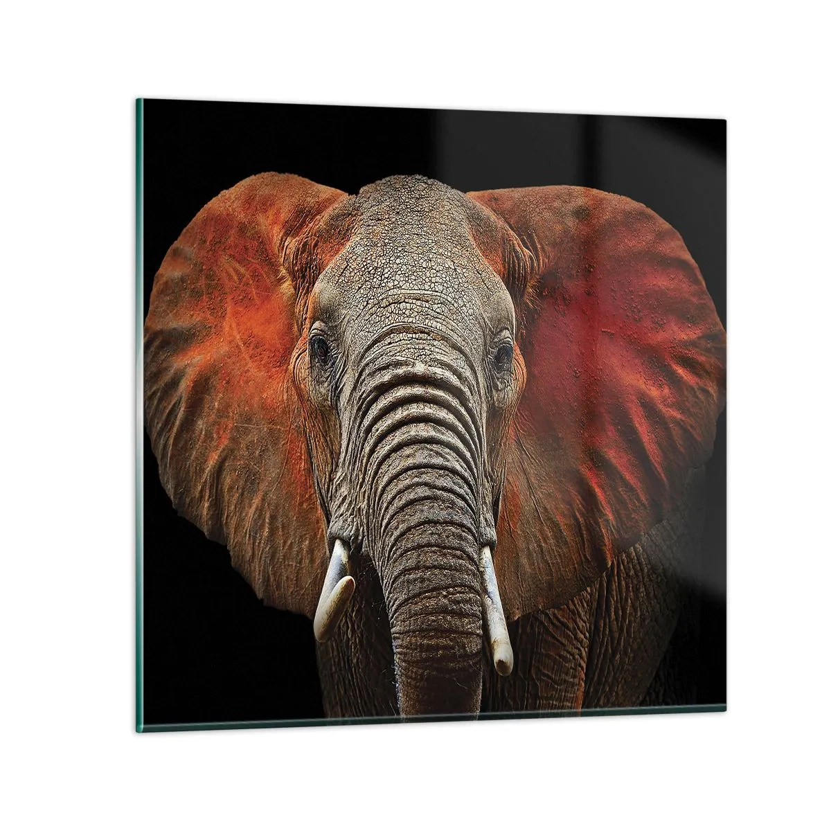 Glass picture - I am Wild, and You? - 30x30 cm