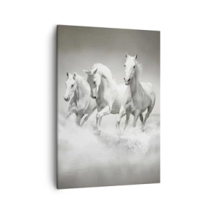 Canvas picture - White Madness - 50x70 cm