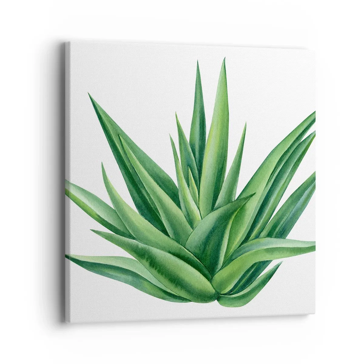 Canvas picture - Green - Power - Life - 40x40 cm