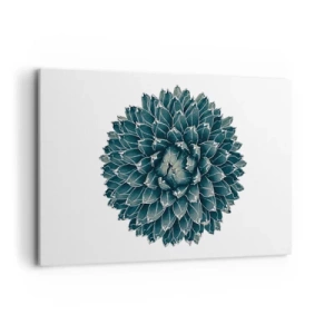 Canvas picture - Star of the Desert - 120x80 cm