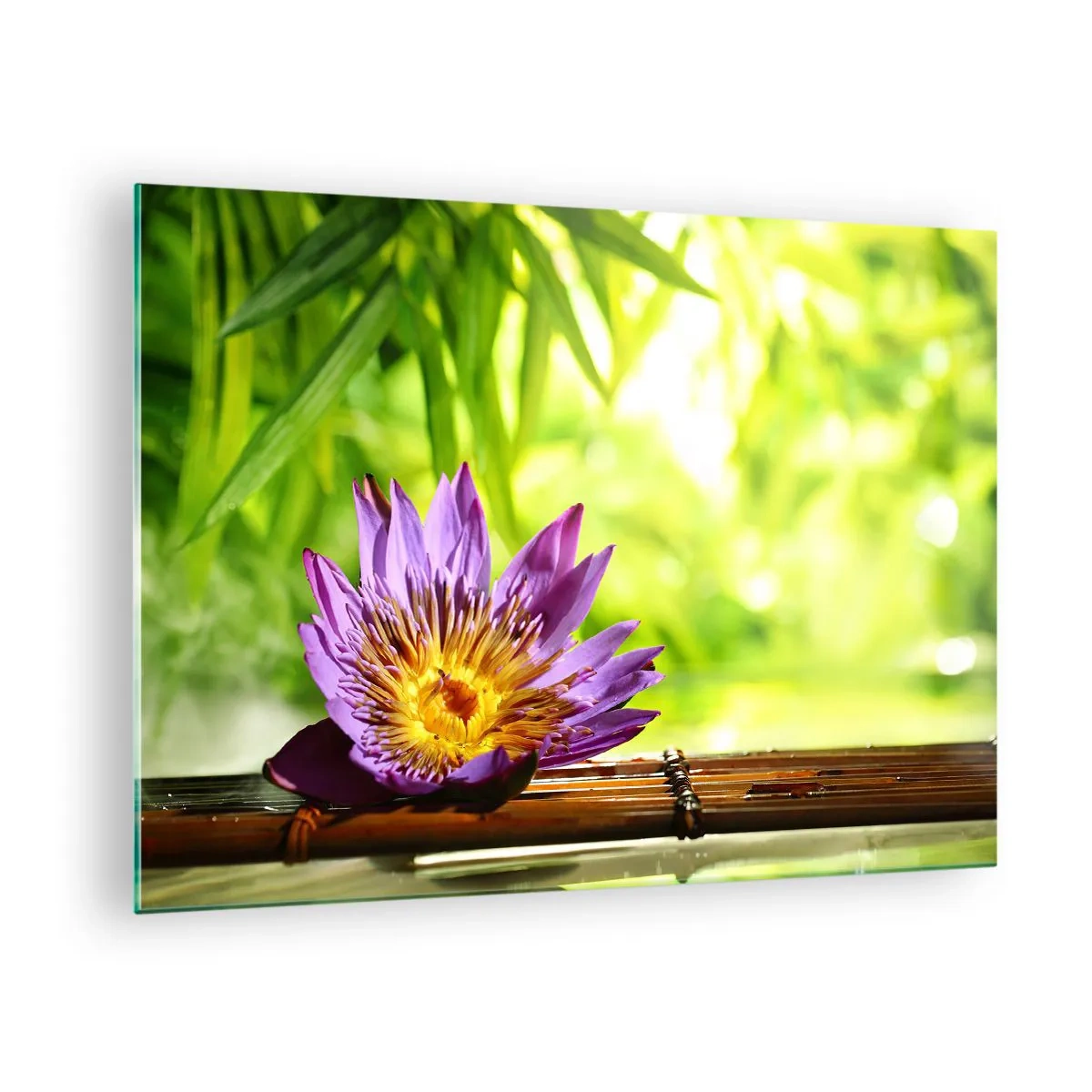Glass picture - Purple lotus flower on a bamboo board with a green background - 70x50cm - In the Asian Sun - Modern wall decoration for the living room and bedroom ARTTOR