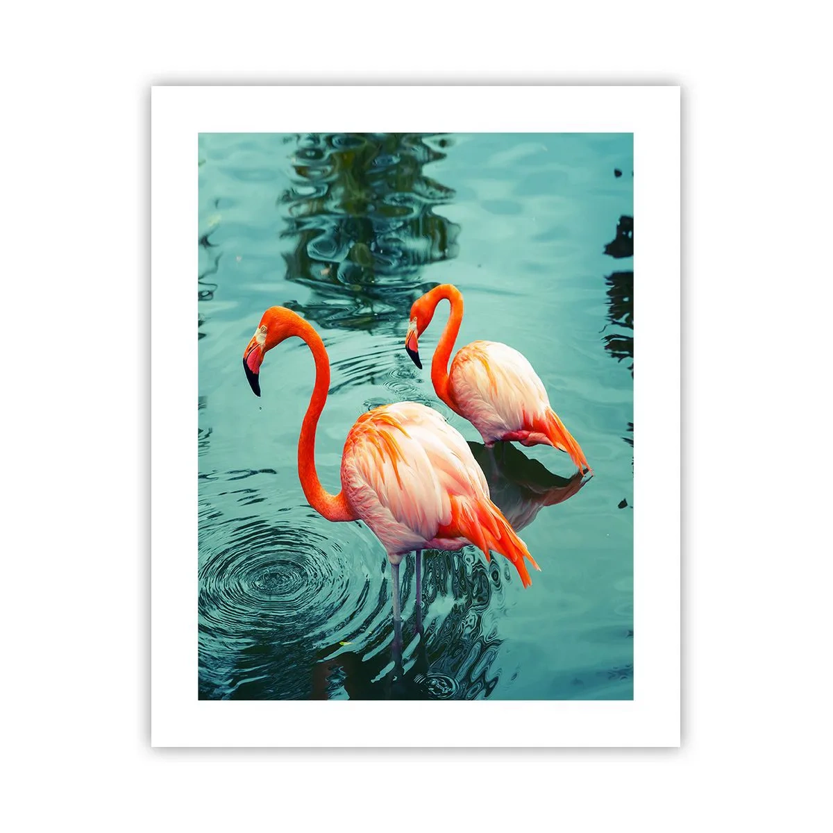 Poster - We Are En Vogue Now - 40x50 cm