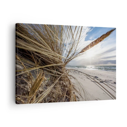 Canvas picture - A beach with dry grass on the dunes and a view of the sea - 70x50cm - Enounter of the Elements - Modern wall decoration for the living room and bedroom ARTTOR