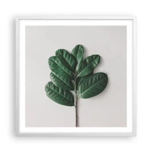 Poster in white frmae - Drawing of Nature Itself - 60x60 cm