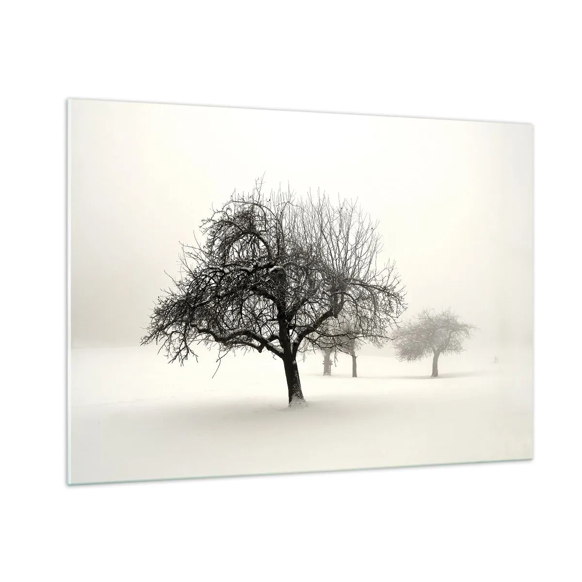 Glass picture - Winter Dream - 100x70 cm