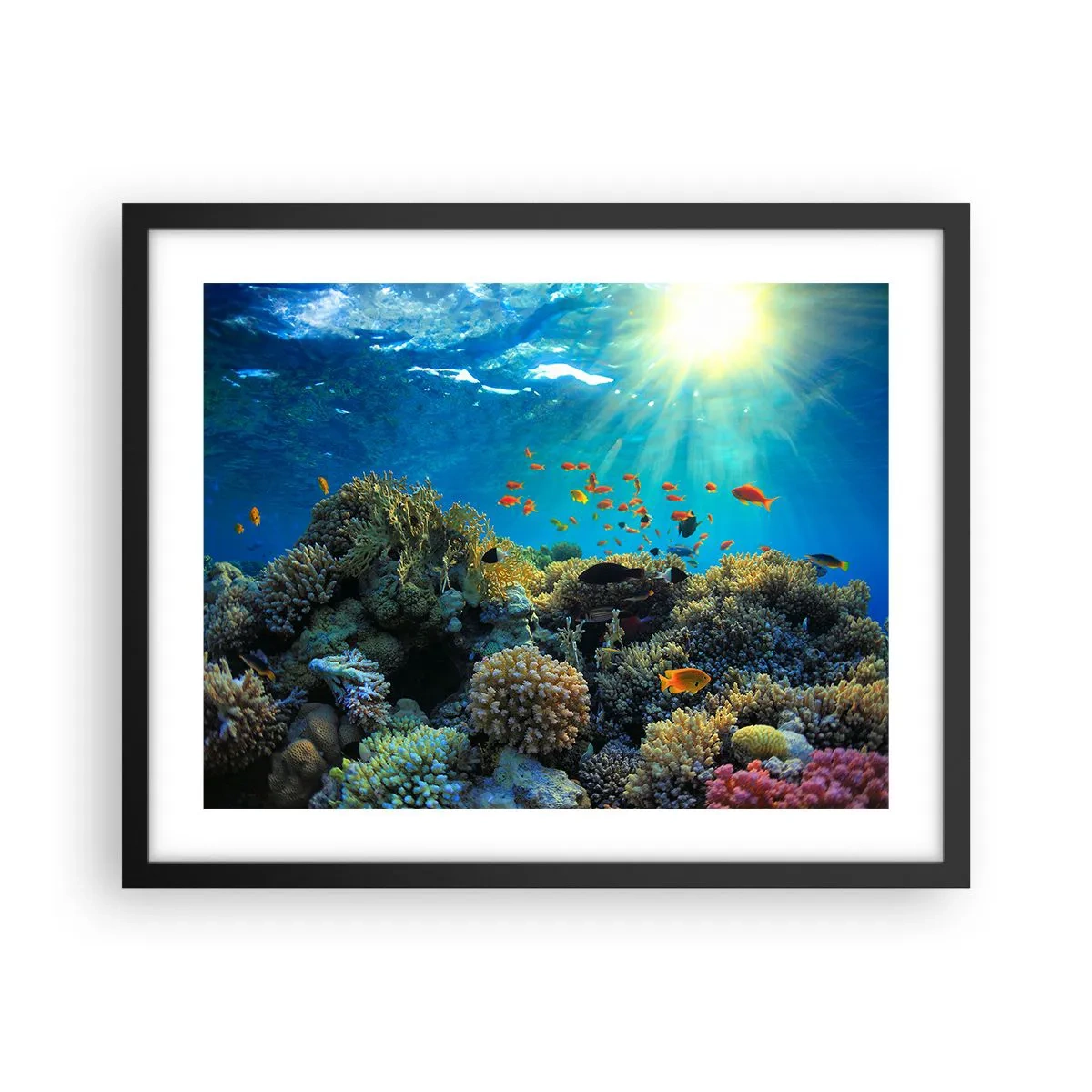 Poster in black frame - Underwater Treasures - 50x40 cm