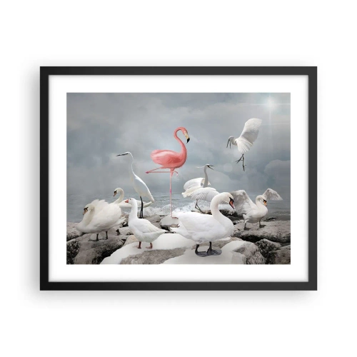 Poster in black frame - Where Did I Come from? - 50x40 cm