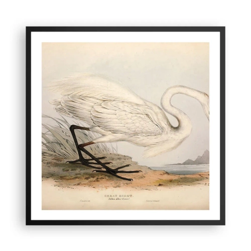 Poster in black frame - Lady on the Marsh - 60x60 cm