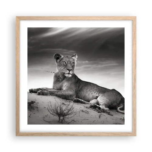 Poster in light oak frame - Queen of Desert Is Resting - 50x50 cm