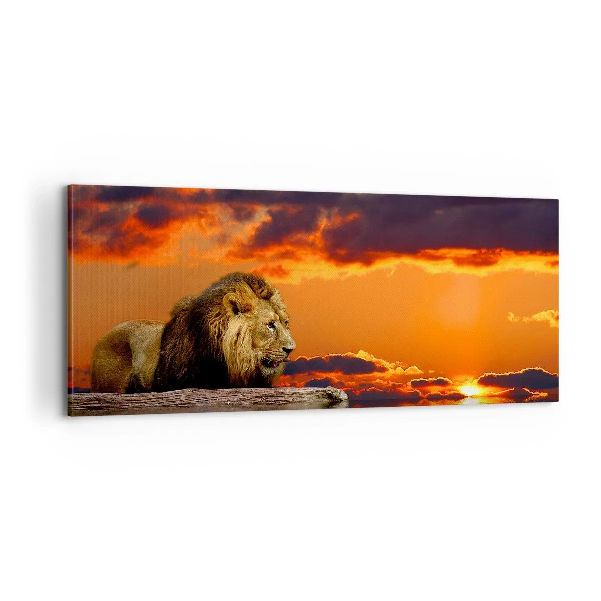 Canvas picture - The King of Nature - 100x40 cm
