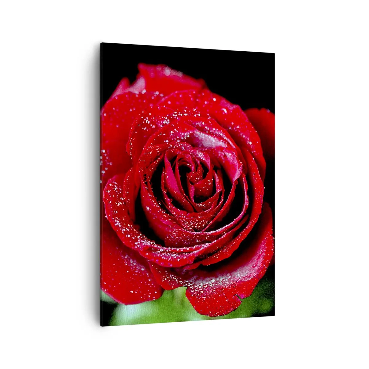 Canvas picture - This Is Love - 70x100 cm