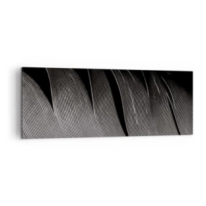 Canvas picture - Feather - Wonderful Constract - 140x50 cm