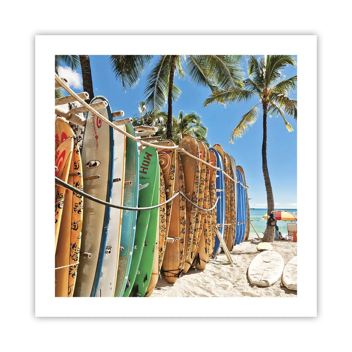 Poster - Sunny Fun - 50x50 cm