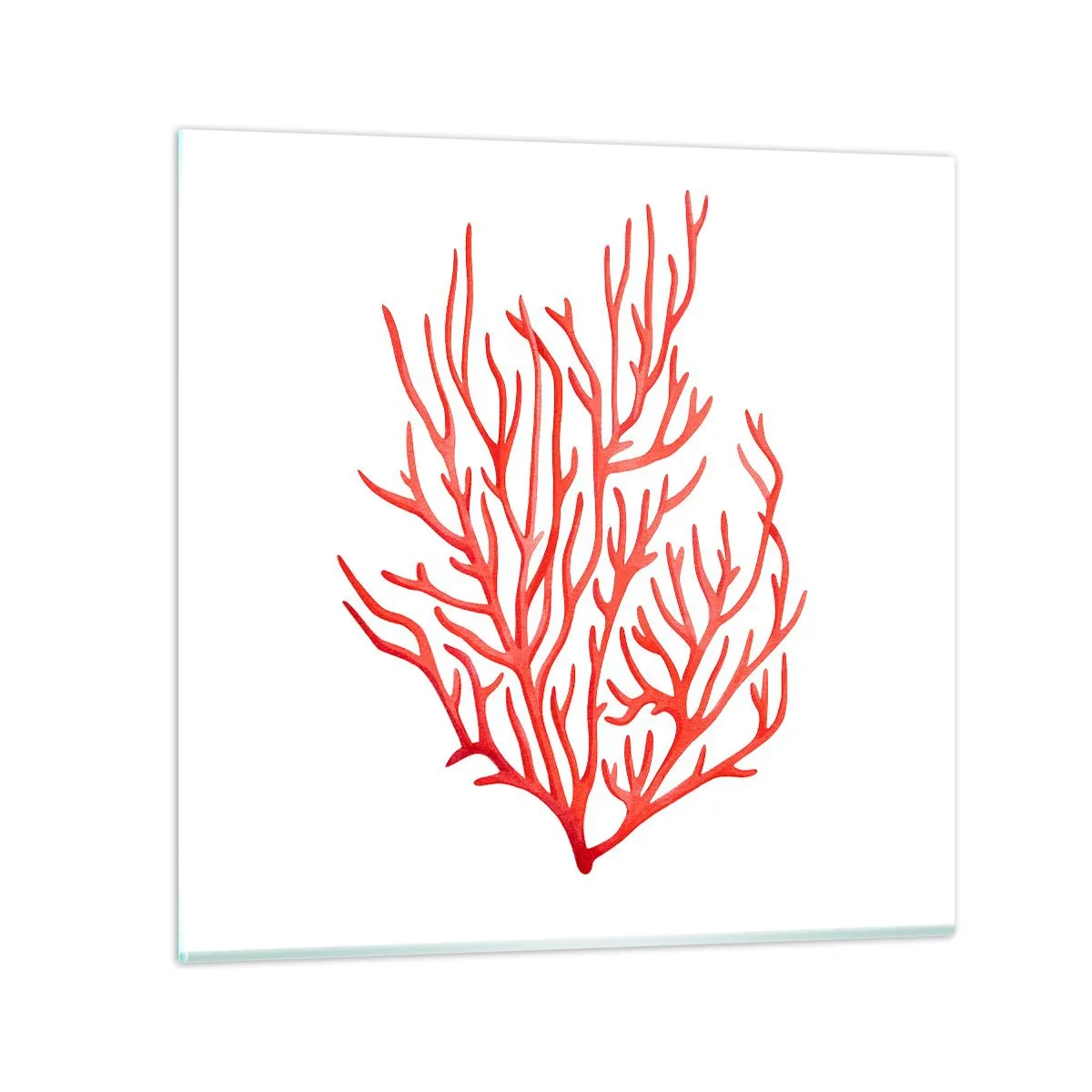 Glass picture - Coral Filigree - 40x40 cm
