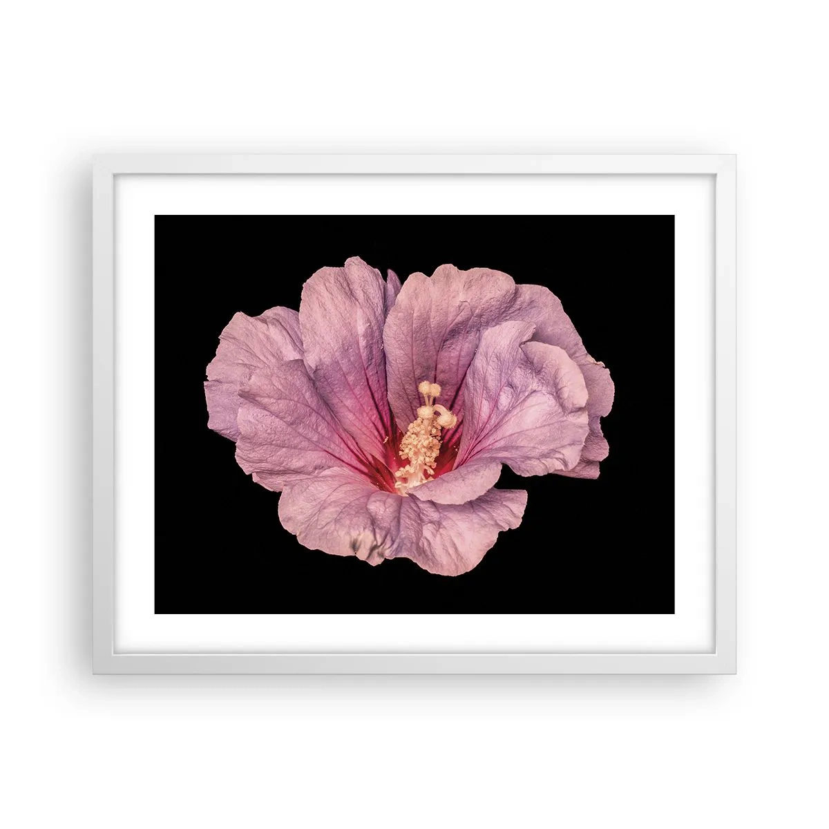 Poster in white frmae - Straight from the Heart - 50x40 cm