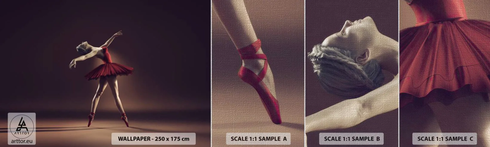 Photo Wallpaper Sample Premium Canvas - Prima Ballerina - Ballerina, Dance, Ballet - 100x30 cm