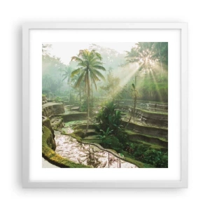 Poster in white frmae - Maturing in the Sun - 40x40 cm