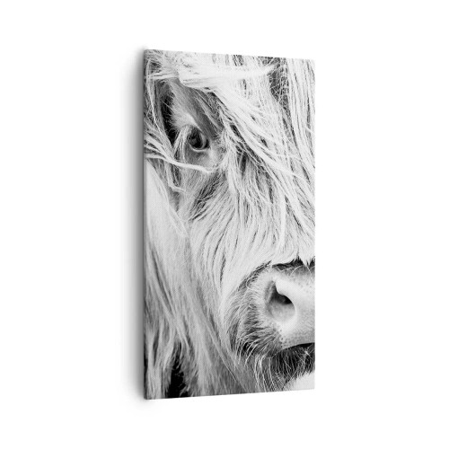 Canvas picture - Scottish Wilderness - 55x100 cm