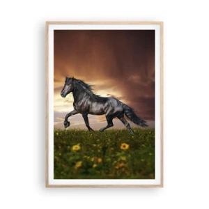 Poster in light oak frame - Black Prince - 70x100 cm