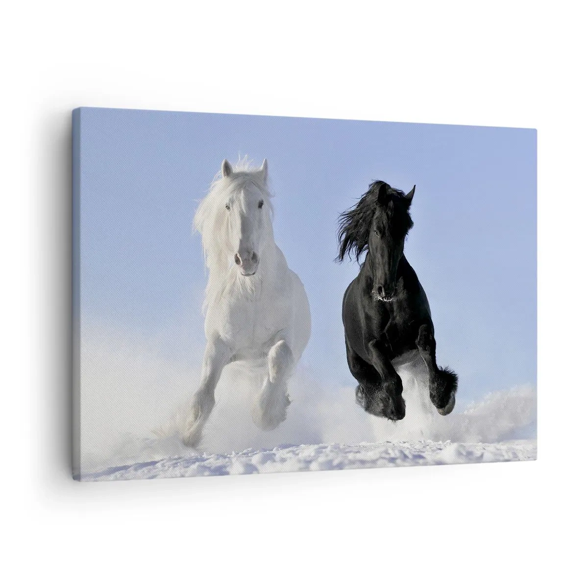 Canvas picture - A white and a black horse galloping through the snow - 70x50cm - Black and White Gallop - Modern wall decoration for the living room and bedroom ARTTOR