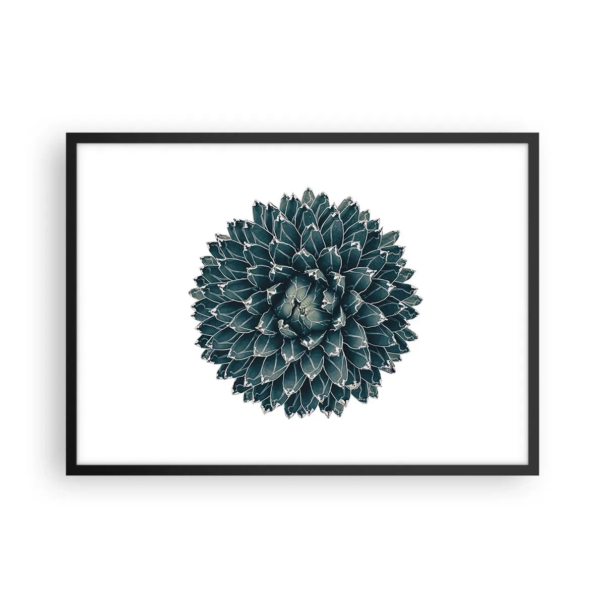Poster in black frame - Star of the Desert - 70x50 cm