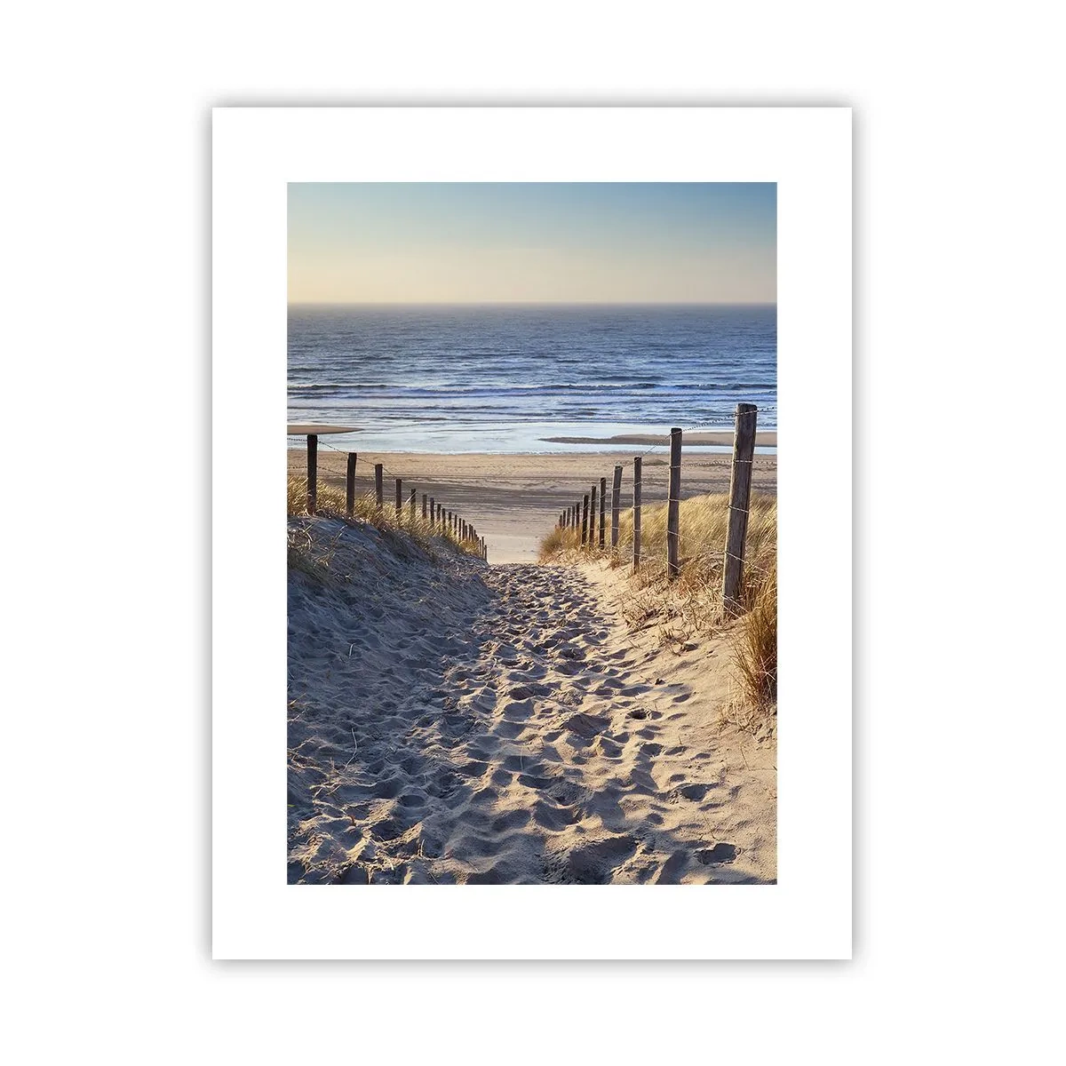 Poster - Sound of the Sea, Singing of the Birds, Wild Beach among Grass - 30x40 cm
