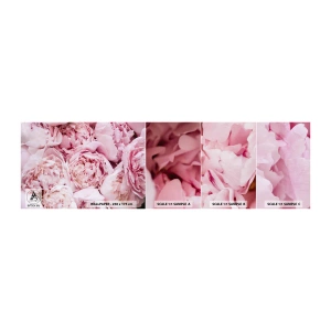 Photo Wallpaper Sample Standard Eco - Cuddly and Fragrant - Peony, Flowers, Bouquet of flowers - 100x30 cm