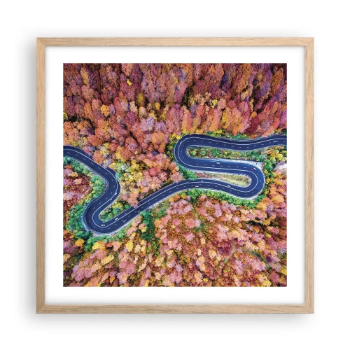 Poster in light oak frame - Winding Path through a Forest - 50x50 cm