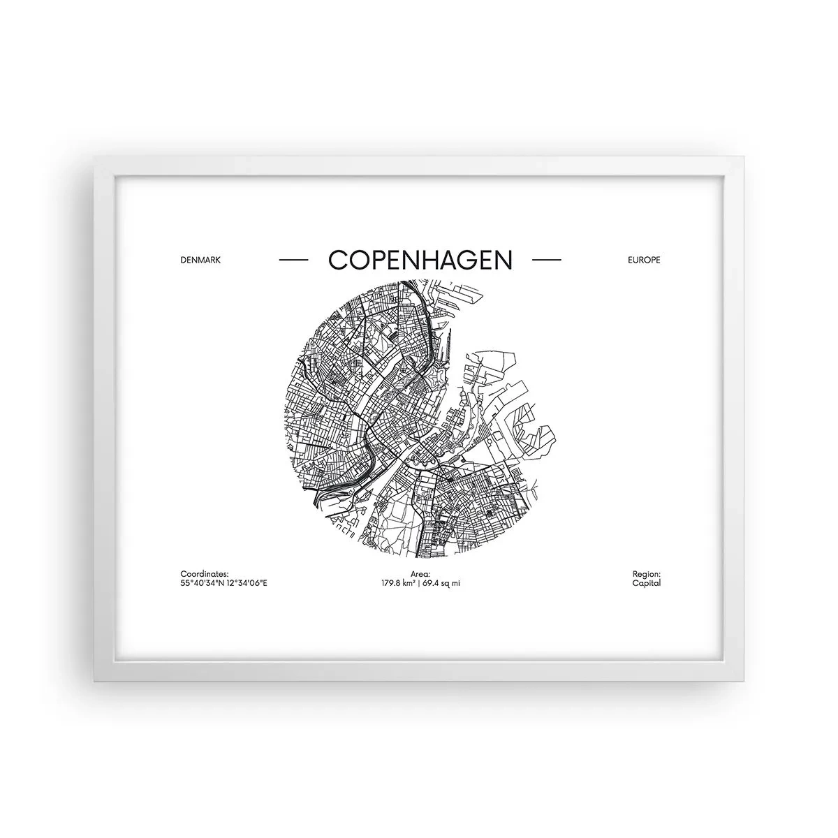 Poster in white frmae - Anatomy of Copenhagen - 50x40 cm