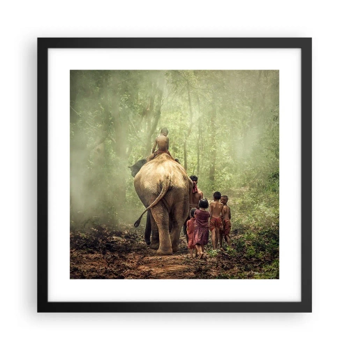 Poster in black frame - New Jungle Book - 40x40 cm