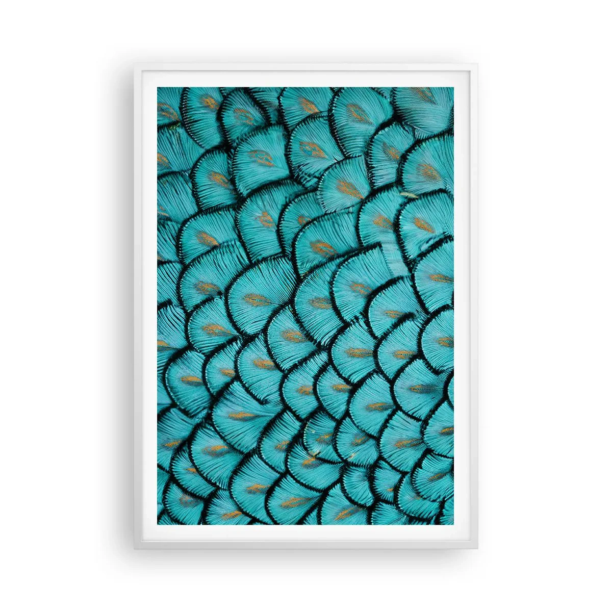 Poster in white frmae - Great Feather Gala - 70x100 cm