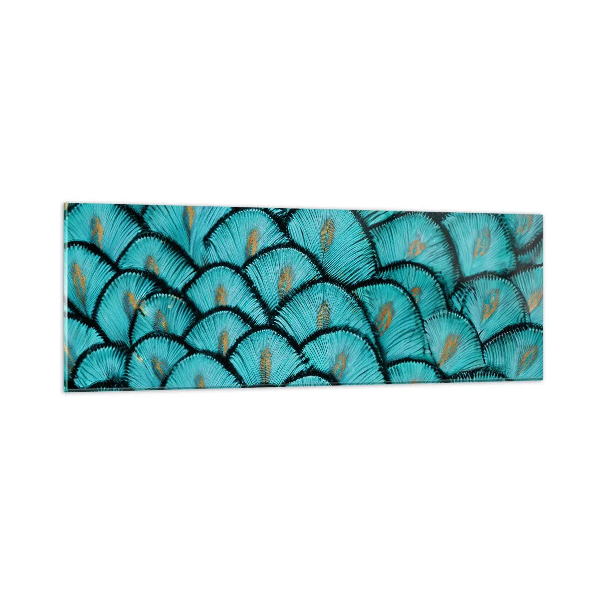 Glass picture - Great Feather Gala - 90x30 cm