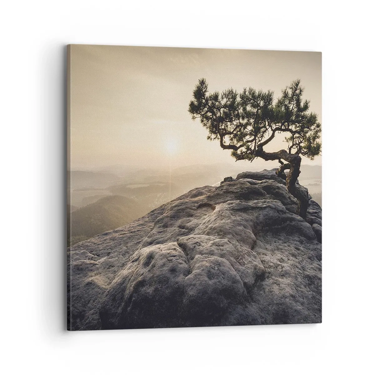 Canvas picture - Life Always Wins - 70x70 cm