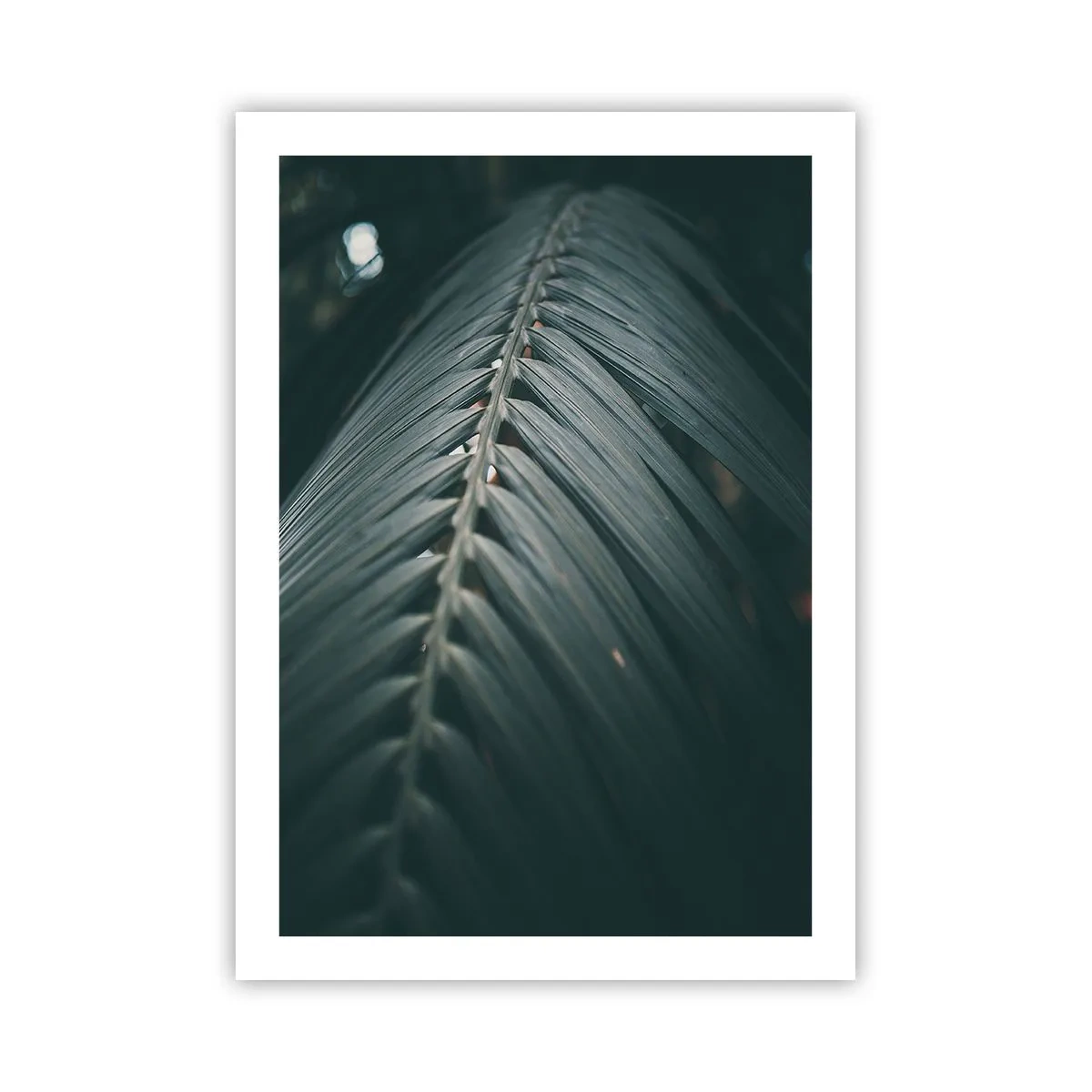Poster - Precision of Nature - 50x70 cm