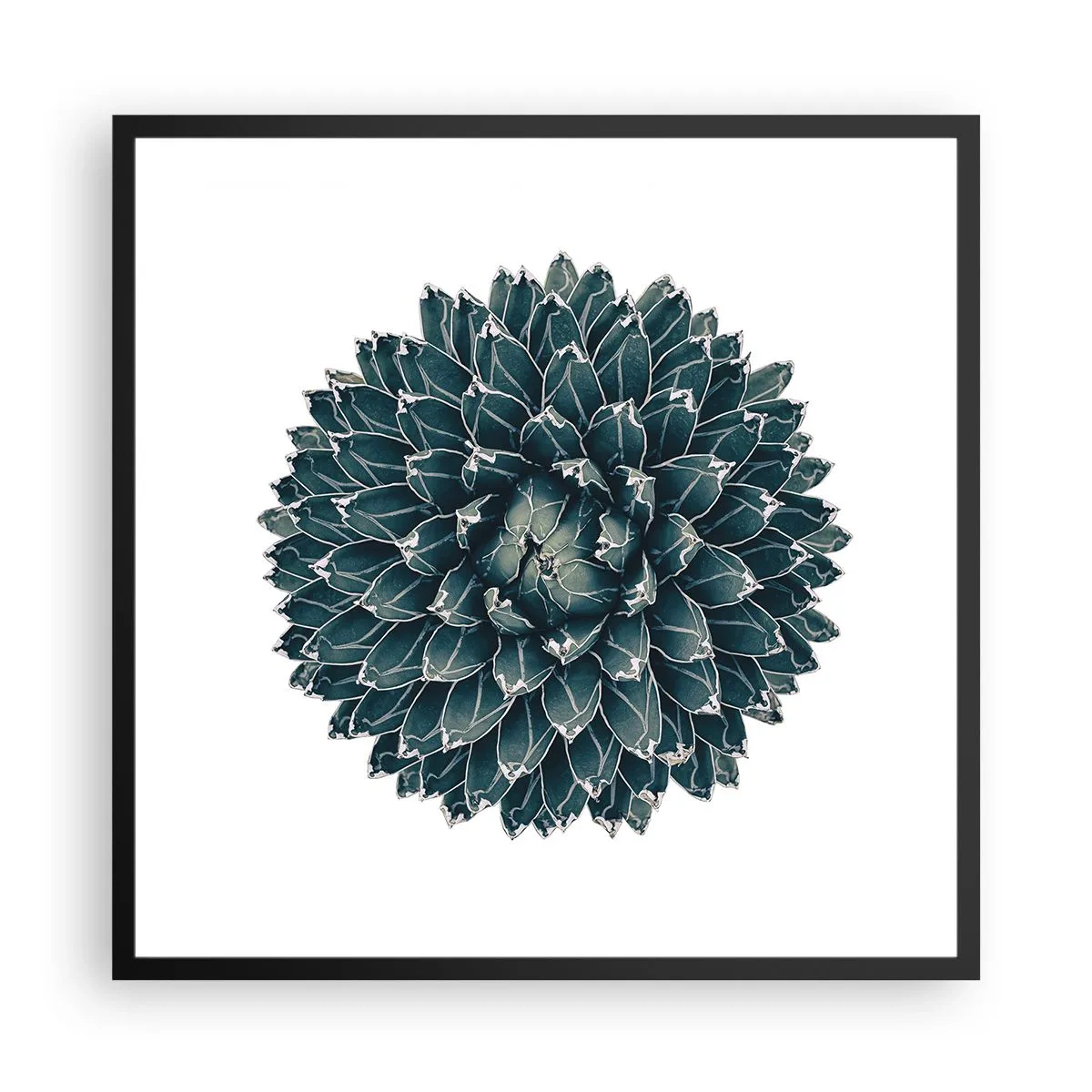 Poster in black frame - Star of the Desert - 60x60 cm