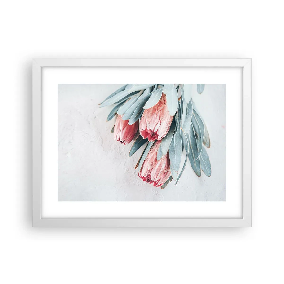 Poster in white frmae - Ashamed of Their Own Beauty - 40x30 cm